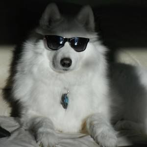 Meet your Posher, Catherine